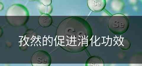 孜然的促进消化功效(孜然的促进消化功效与作用)